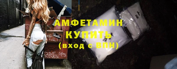 мдпв Богданович