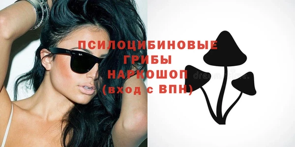 мдпв Богданович