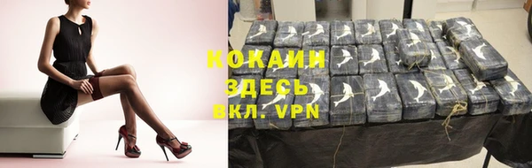 мдпв Богданович