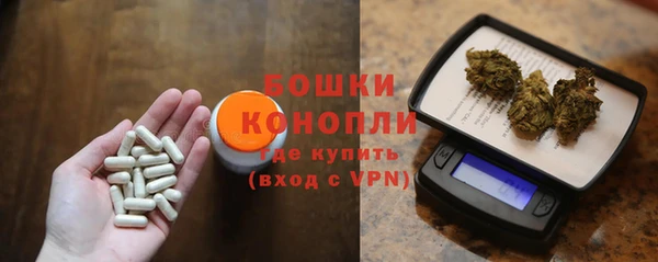 мдпв Богданович