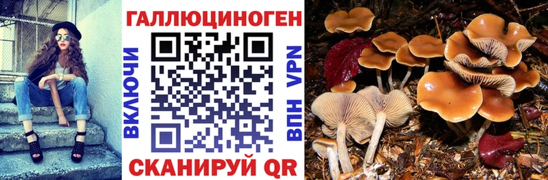 Галлюциногенные грибы прущие грибы  Мегион 